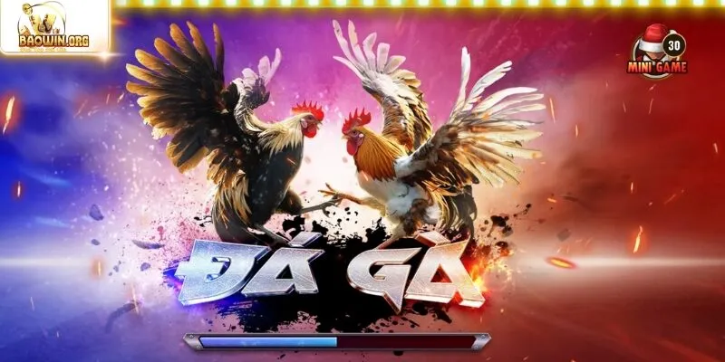 Vài nét khái quát về sảnh đá gà baowin